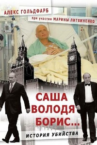 Саша, Володя, Борис... История убийства - Александр Давыдович Гольдфарб, Марина Анатольевна Литвиненко