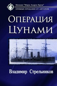 Операция «Цунами» - Владимир Валериевич Стрельников