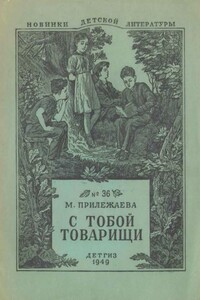 С тобой товарищи - Мария Павловна Прилежаева
