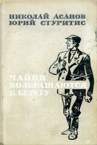 Чайки возвращаются к берегу. Книга 2 - Николай Александрович Асанов, Юрий Васильевич Стуритис