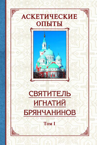 Аскетические опыты. Том 1 - Игнатий