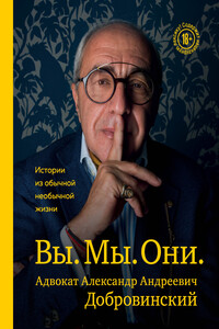 Вы. Мы. Они. Истории из обычной необычной жизни - Александр Андреевич Добровинский