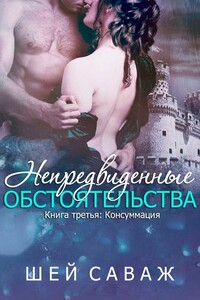 Консуммация - Шей Саваж