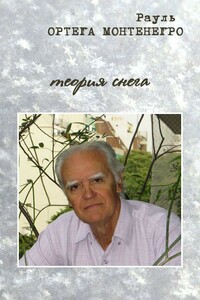 Теория снега - Рауль Ортега Монтенегро