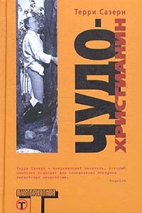 Чудо-христианин - Терри Сазерн