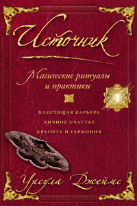 Источник. Магические ритуалы и практики - Урсула Джеймс