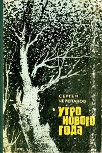 Утро нового года - Сергей Иванович Черепанов