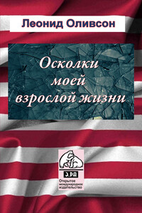 Осколки зеркала моей взрослой жизни - Леонид Моисеевич Оливсон