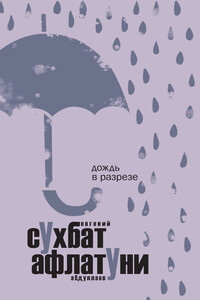 Дождь в разрезе - Сухбат Афлатуни
