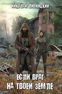 Если враг на твоей земле - Николай Иванович Липницкий