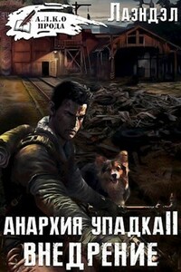 Внедрение - Алексей Владимирович Андриенко