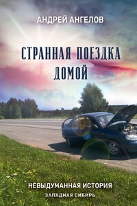 Странная поездка домой - Андрей Петрович Ангелов
