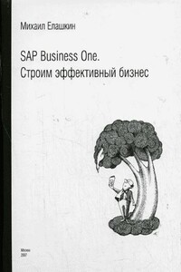 SAP Business One. Строим эффективный бизнес - Михаил Елашкин