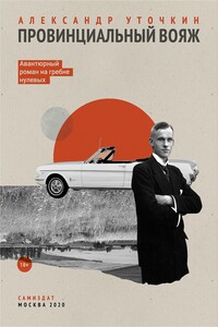 Провинциальный вояж - Александр Петрович Уточкин