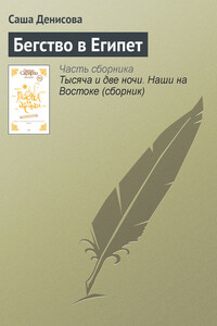 Бегство в Египет - Саша Денисова