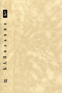 Том 5. О'кэй. Камни и корни. Рассказы - Борис Пильняк