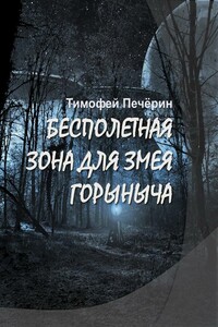 Бесполетная зона для Змея Горыныча - Тимофей Николаевич Печёрин