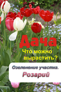 Что можно вырастить? Озеленение участка. Розарий - автор неизвестный
