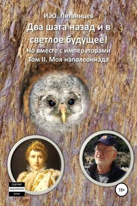 Два шага назад и в светлое будущее! Но вместе с императорами. Том II. Моя наполеониада - Игорь Юрьевич Литвинцев