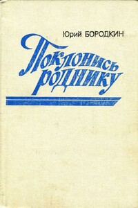 Поклонись роднику - Юрий Серафимович Бородкин