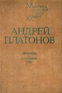 Штурм лабиринта - Андрей Платонович Платонов