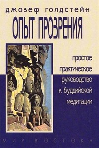 Опыт прозрения. Простое практическое руководство к буддийской медитации - Джозеф Голдстейн