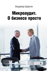 Микроаудит. О бизнесе просто - Владимир Шерягин