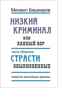 Банный вор - Михаил Викторович Башкиров