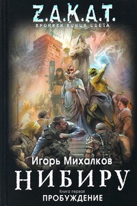 Нибиру. Книга 1. Пробуждение - Игорь Михалков