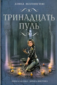 Тринадцать пуль - Дэвид Веллингтон