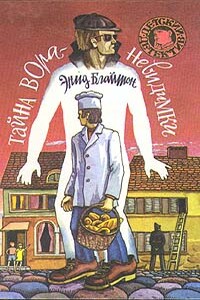 Тайна вора-невидимки - Энид Блайтон