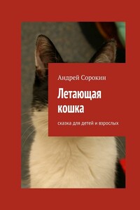 Летающая кошка - Андрей Александрович Сорокин