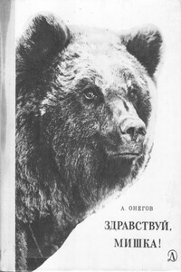Здравствуй, мишка! - Анатолий Сергеевич Онегов