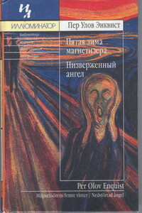 Пятая зима магнетизёра - Пер Улов Энквист