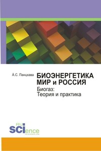 Биоэнергетика. Мир и Россия - Евгений Семенович Панцхава