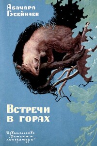 Встречи в горах - Абачара Гусейнаевич Гусейнаев