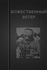 Божественный ветер - Вадим Астанин