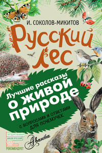 Русский лес. С вопросами и ответами для почемучек - Иван Сергеевич Соколов-Микитов