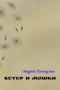 Ветер и мошки - Андрей Алексеевич Кокоулин