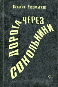 Дорога через Сокольники - Виталий Александрович Раздольский