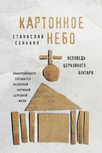 Картонное небо. Исповедь церковного бунтаря - Станислав Леонидович Сенькин