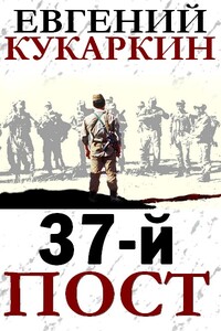 37-й пост - Евгений Николаевич Кукаркин