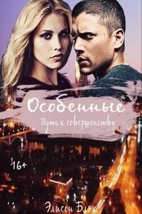 Путь к совершенству - Элисон Блэк