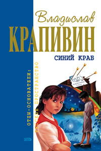 Альфа Большой Медведицы - Владислав Петрович Крапивин