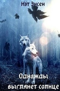 Однажды выглянет солнце - Наталья Буренчева