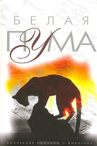 Год собаки - Джон Кац
