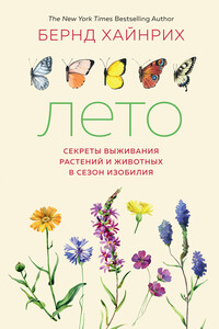 Лето: Секреты выживания растений и животных в сезон изобилия - Берндт Хайнрих