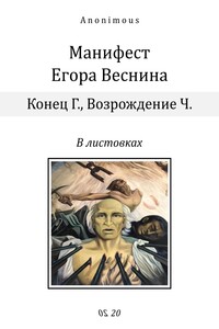 Манифест Егора Веснина в листовках - автор неизвестный