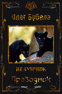 Проводник - Олег Николаевич Бубела