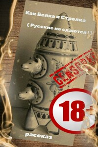 Как Белка и Стрелка - Александр Васильевич Дёмышев